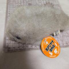 アザラシぬいぐるみの画像