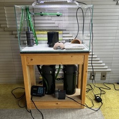 熱帯魚水槽セット（総額8万円以上）