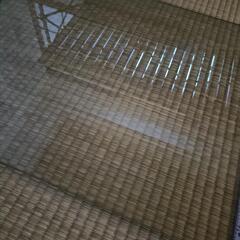 引取限定！　ガラス1枚　ガラステーブル　ガラス棚　傷ありの画像