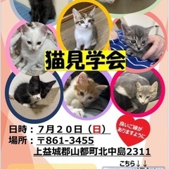 ♣️猫見学会in山都町♣️