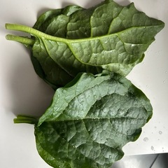 何という野菜でしょうか？