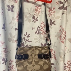 【コーチバックまとめ売り】 程度B の画像