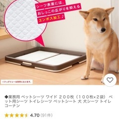 無料！オムツペットシーツトイレシート厚手61枚無料差し上げますの画像