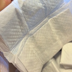 無料！オムツペットシーツトイレシート厚手61枚無料差し上げますの画像