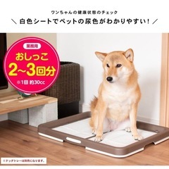 無料！オムツペットシーツトイレシート厚手61枚無料差し上げますの画像
