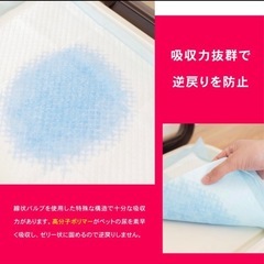 無料！オムツペットシーツトイレシート厚手61枚無料差し上げますの画像