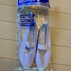 上履き　23.5 未使用