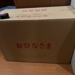 雛人形の画像