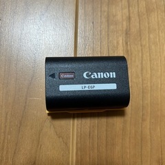 新品LP-E6P＋純正バッテリーチャージャーの画像