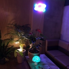 バーテンダー募集⭐️の画像