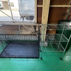 完全予約制　オープンセール各種販売会の画像