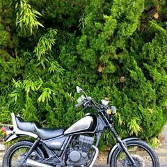 🌈CBX125 カスタム    ブラックVer' フルパワーモデルの画像