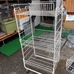 店用棚の画像