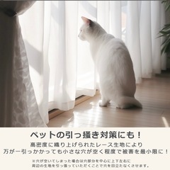 [美品]リネンのレースカーテン(100×176cm 2枚)の画像