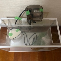 水槽①の画像