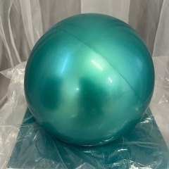 エクササイズウエイトボール２kgの画像