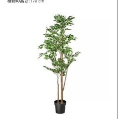 【IKEA】FEJKA フェイカの画像