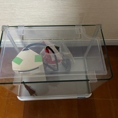 水槽③の画像