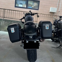 レブル250 ディアブロカスタム 七月末までの画像