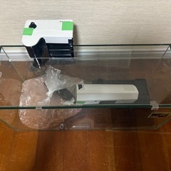 水槽④の画像