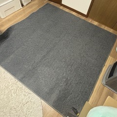 電気カーペット