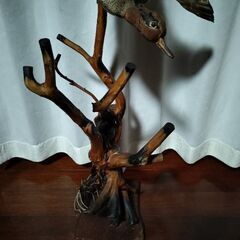鳥の剥製　置物　オブジェの画像