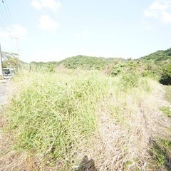 7月草刈り
