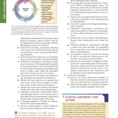 saunders9の画像
