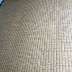 畳一枚からの画像