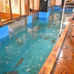 室内釣りオフ会メンバー大募集中🐟️