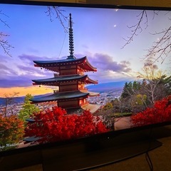 シャープ 40V型 4K液晶テレビ AQUOS 4T-C40BJ1 動画アプリ○の画像