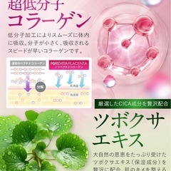 【新品】ピュアビタ　プラセンタ プラセンタ × コラーゲン × CICA 3大美容成分 サプリ 30日分 超低分子コラーゲン ヒアルロン酸 セラミド エラスチン アスタキサンチン 国内製造 悩み解決ラボの画像