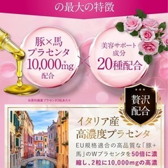 【新品】ピュアビタ　プラセンタ プラセンタ × コラーゲン × CICA 3大美容成分 サプリ 30日分 超低分子コラーゲン ヒアルロン酸 セラミド エラスチン アスタキサンチン 国内製造 悩み解決ラボの画像