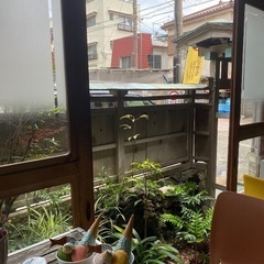 【三崎氷菓】アルバイトスタッフ募集！！！！！の画像