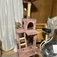 キャットタワーの画像