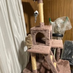 キャットタワーの画像