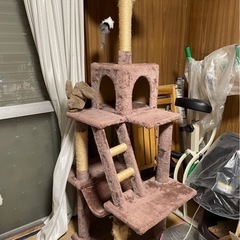 キャットタワーの画像
