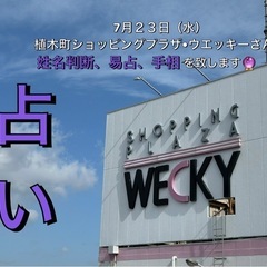 【占い🔮】 7月23日（水）植木町ウエッキーさんで占いを致します❗️