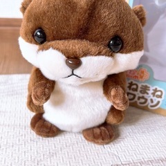 まねまねカワウソの画像