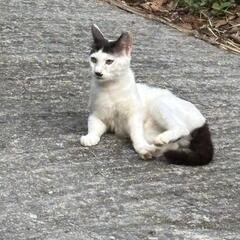 委託であげてます。一歳の男の子