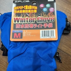 ウィンターグローブの画像