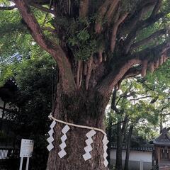 将来のために何か始めたい方