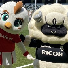 イーグルス&ラムズ 観戦🏉🦅🐑🏟