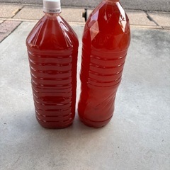光合成細菌　濃厚PSB 2L （おまけ付）