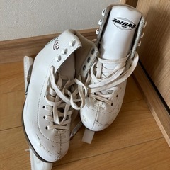 アイススケートシューズの画像