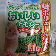 高齢うさぎのの画像
