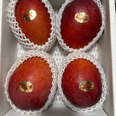 収穫終わりました。の画像