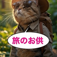 旅行の同行