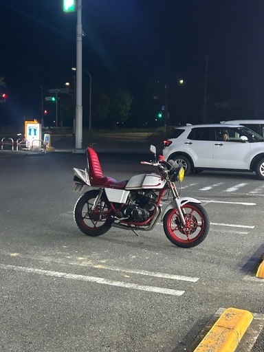gsx250e  ザリ