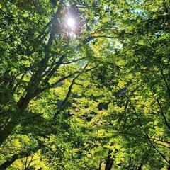 🌈＼夏までに絶対痩せたいあなたへ！／🌻